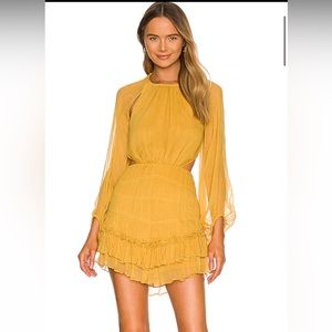 Shona Joy Iris Cutout Backless Mini Dress